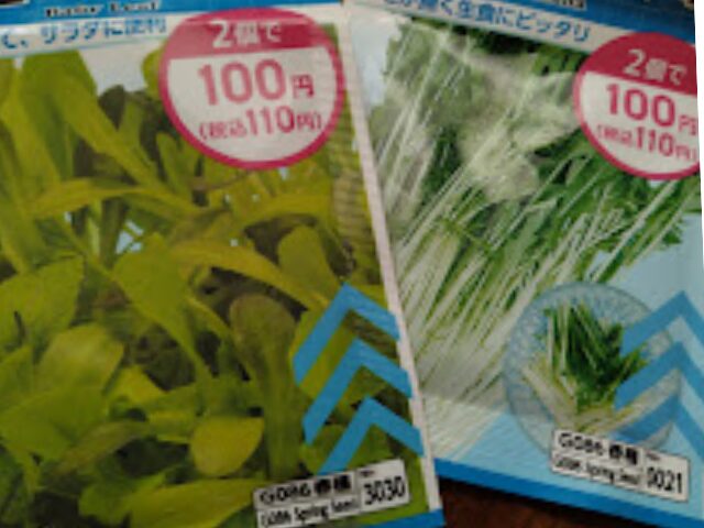野菜の種