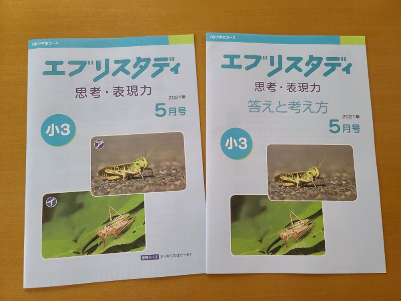 Z会教材エブリスタディ